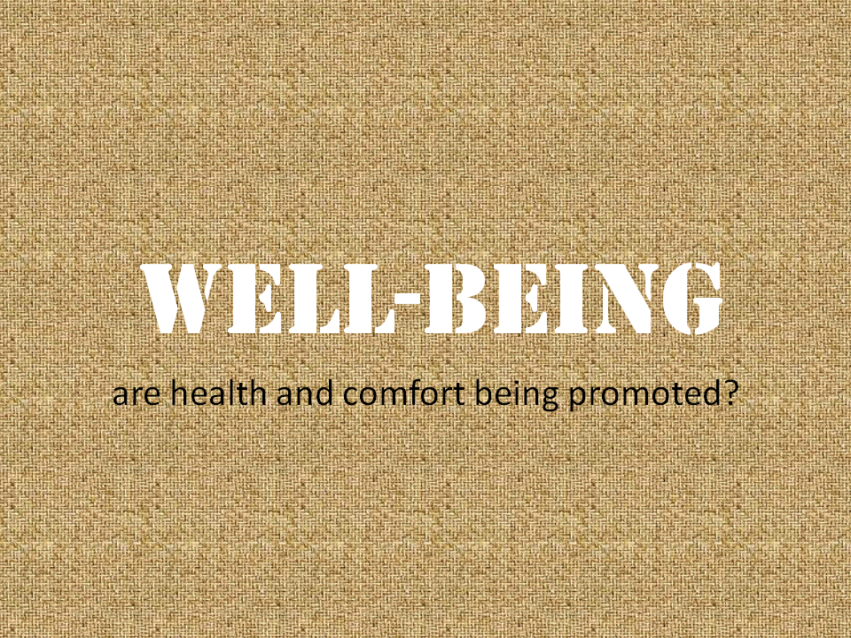 Well-being