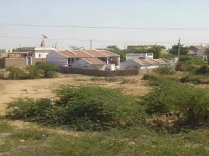 SHS-2